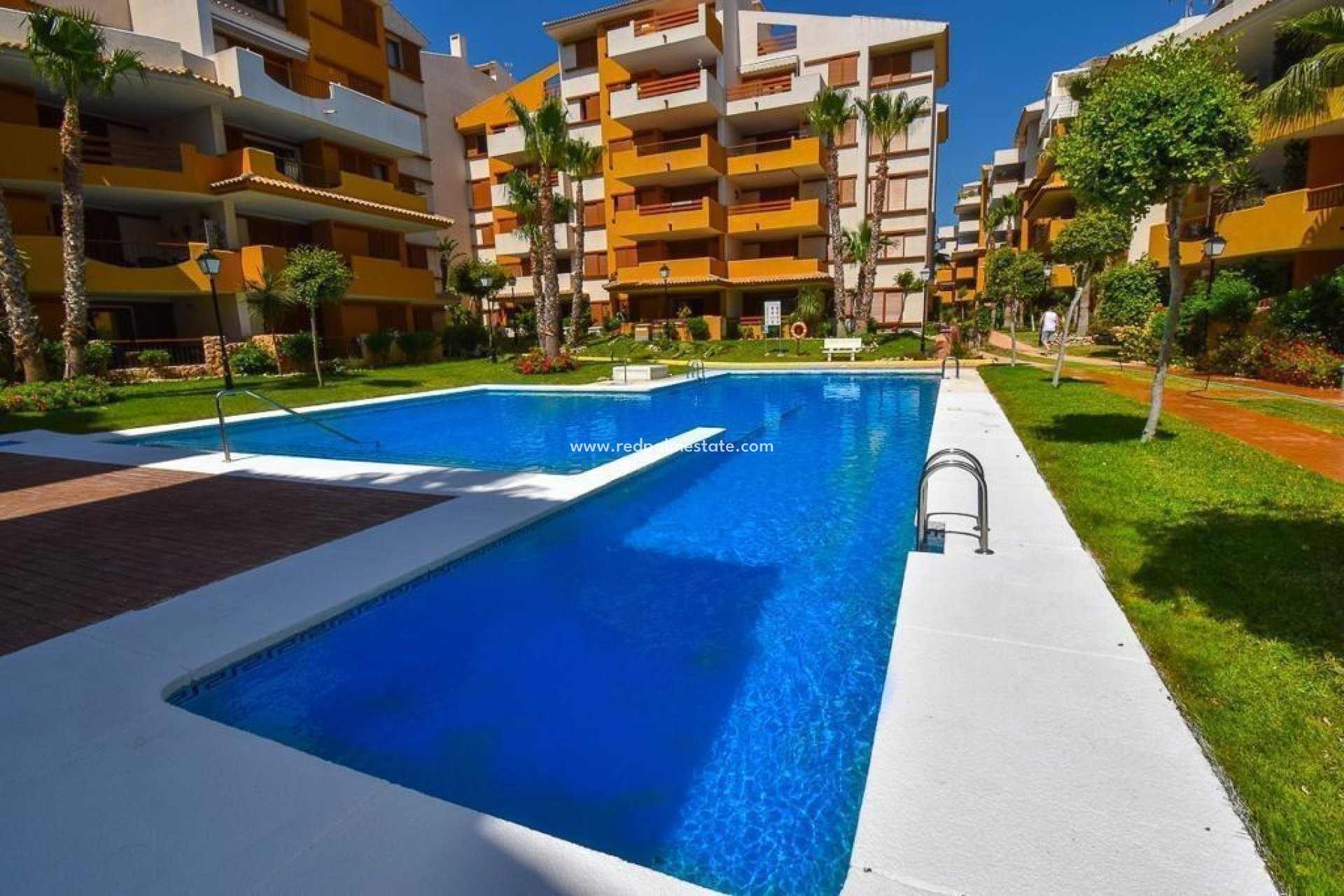 Reventa - Departamento -
Torrevieja - Punta Prima