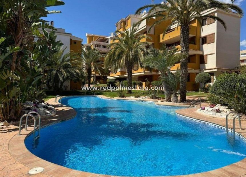 Reventa - Departamento -
Torrevieja - Punta Prima