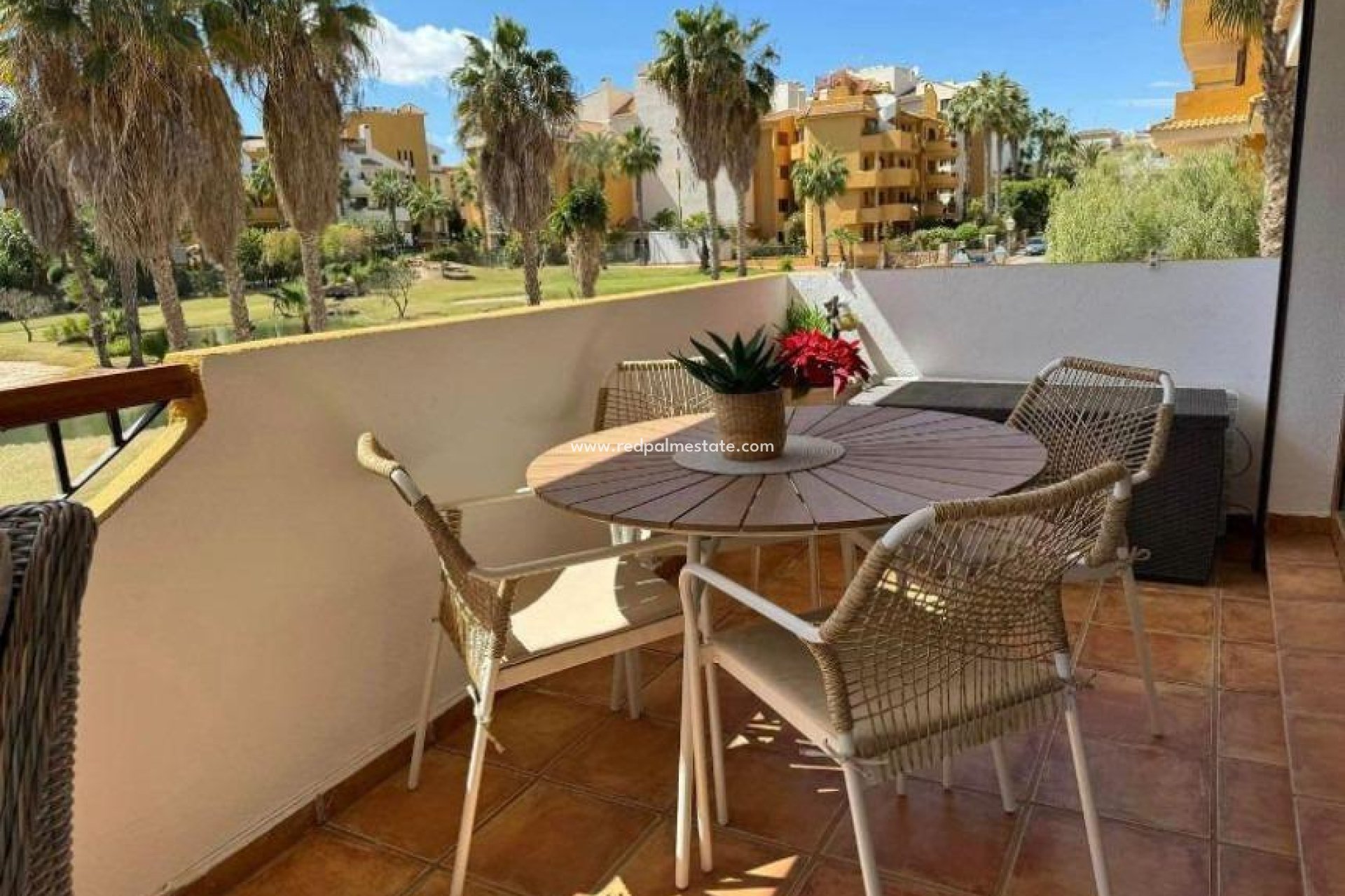 Reventa - Departamento -
Torrevieja - Punta Prima