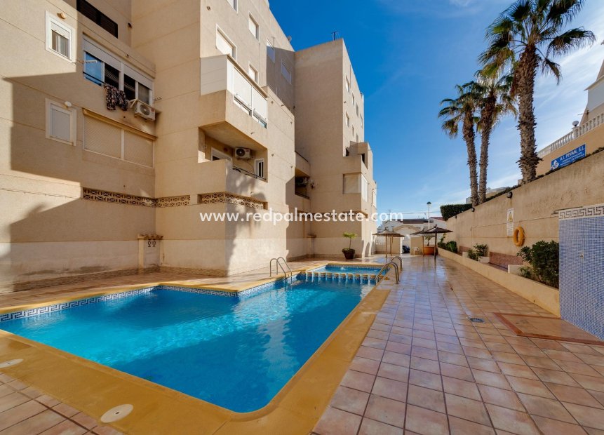 Reventa - Departamento -
Torrevieja - Torre la mata