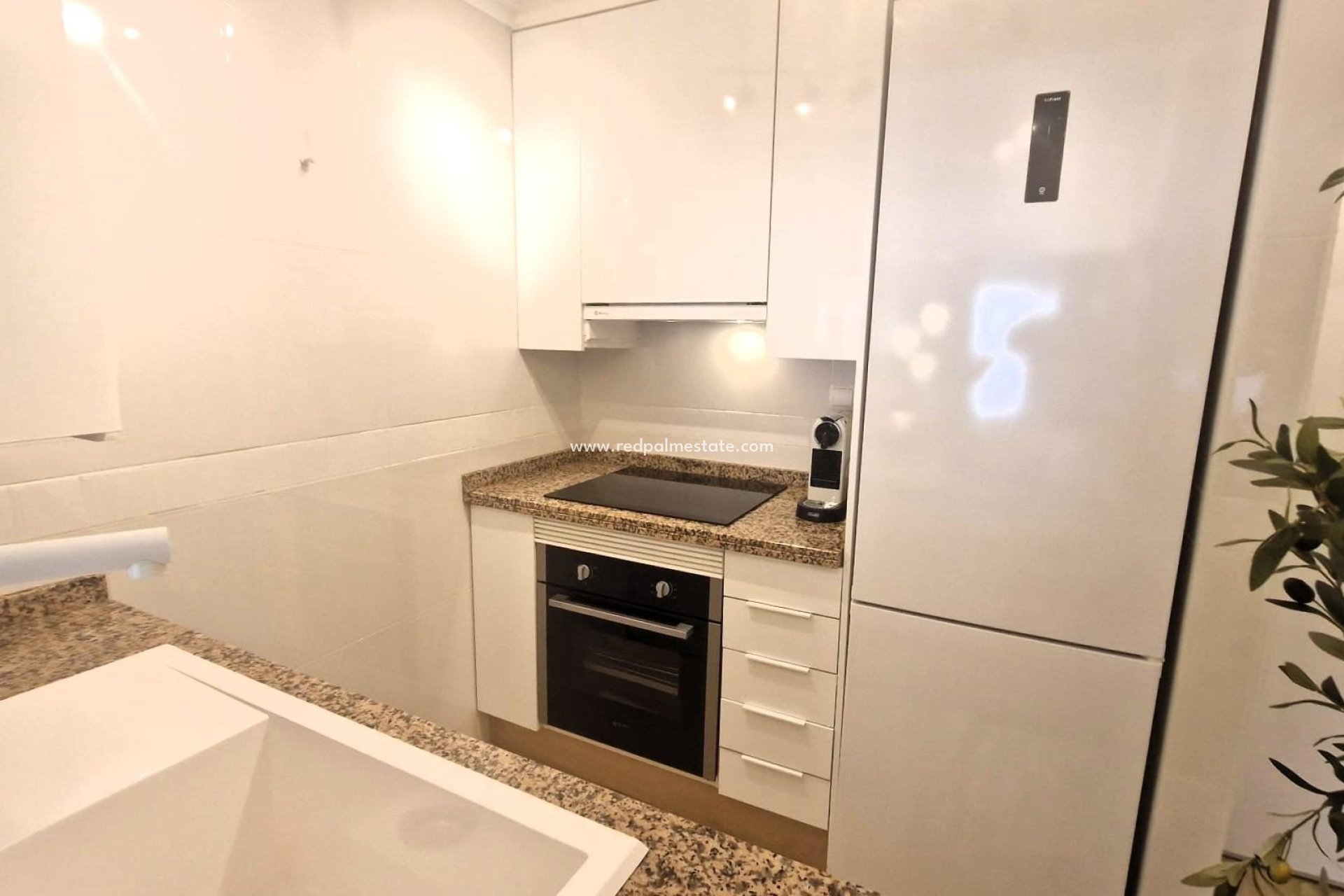 Reventa - Departamento -
Torrevieja - Torreblanca