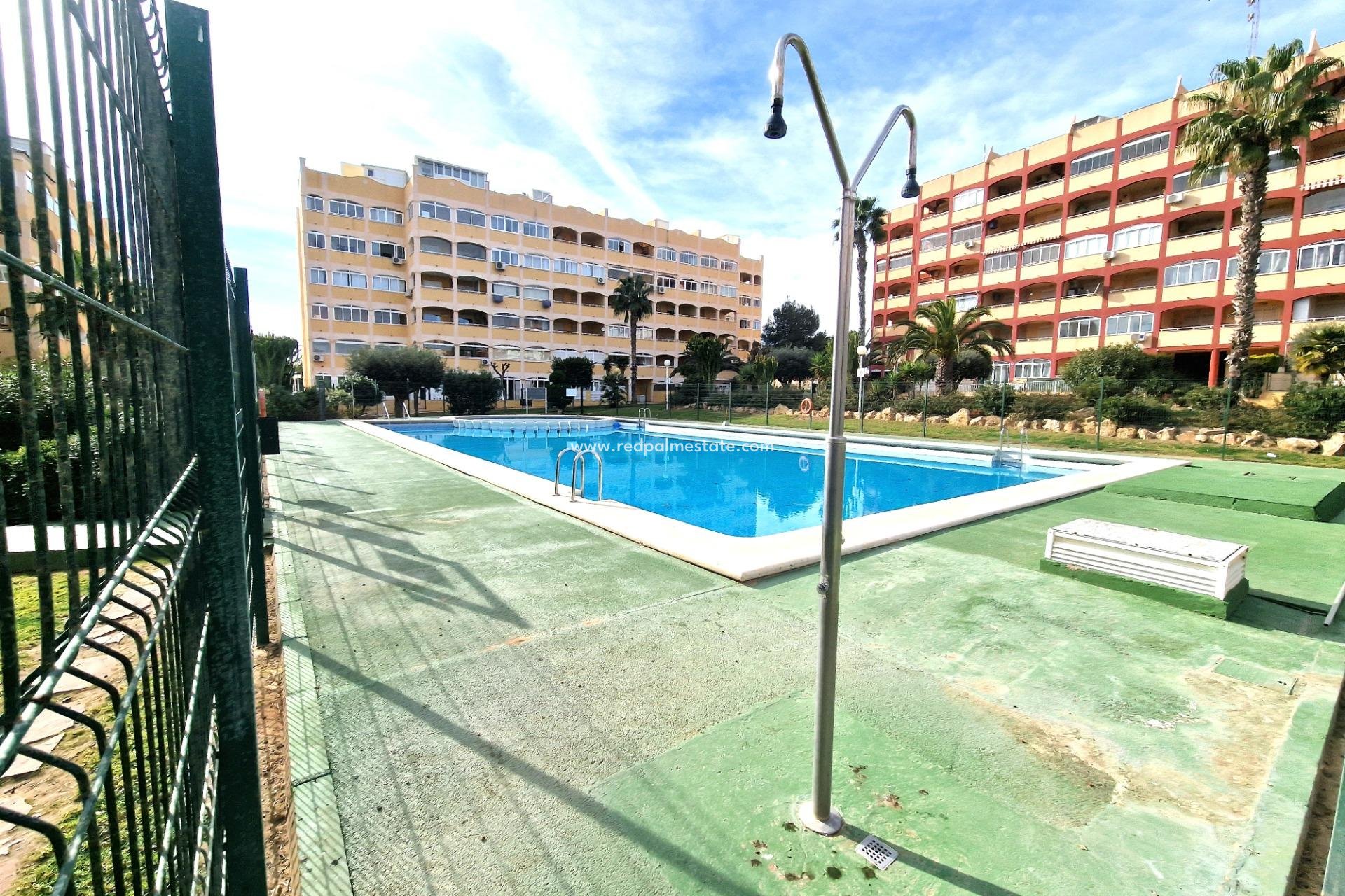 Reventa - Departamento -
Torrevieja - Torreblanca