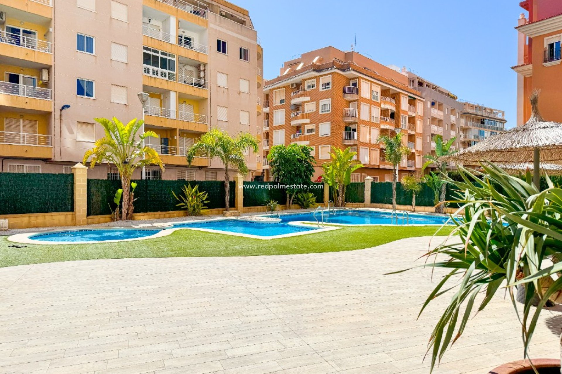 Reventa - Departamento -
Torrevieja