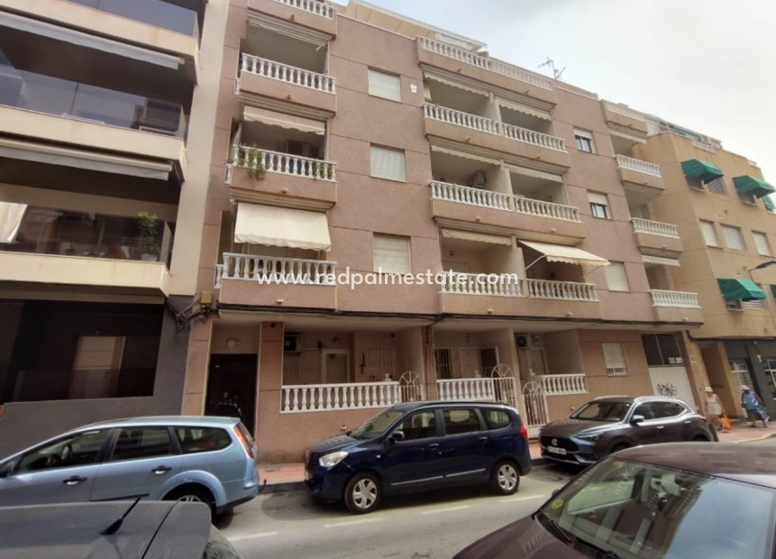 Reventa - Departamento -
Torrevieja