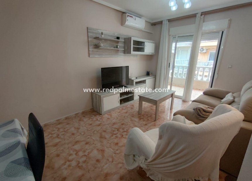 Reventa - Departamento -
Torrevieja