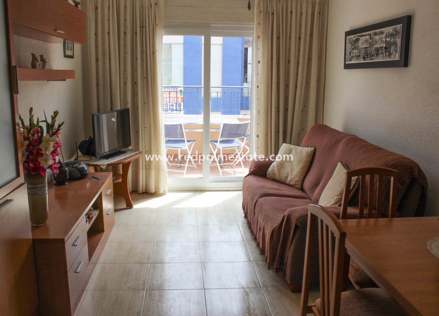 Reventa - Departamento -
Torrevieja