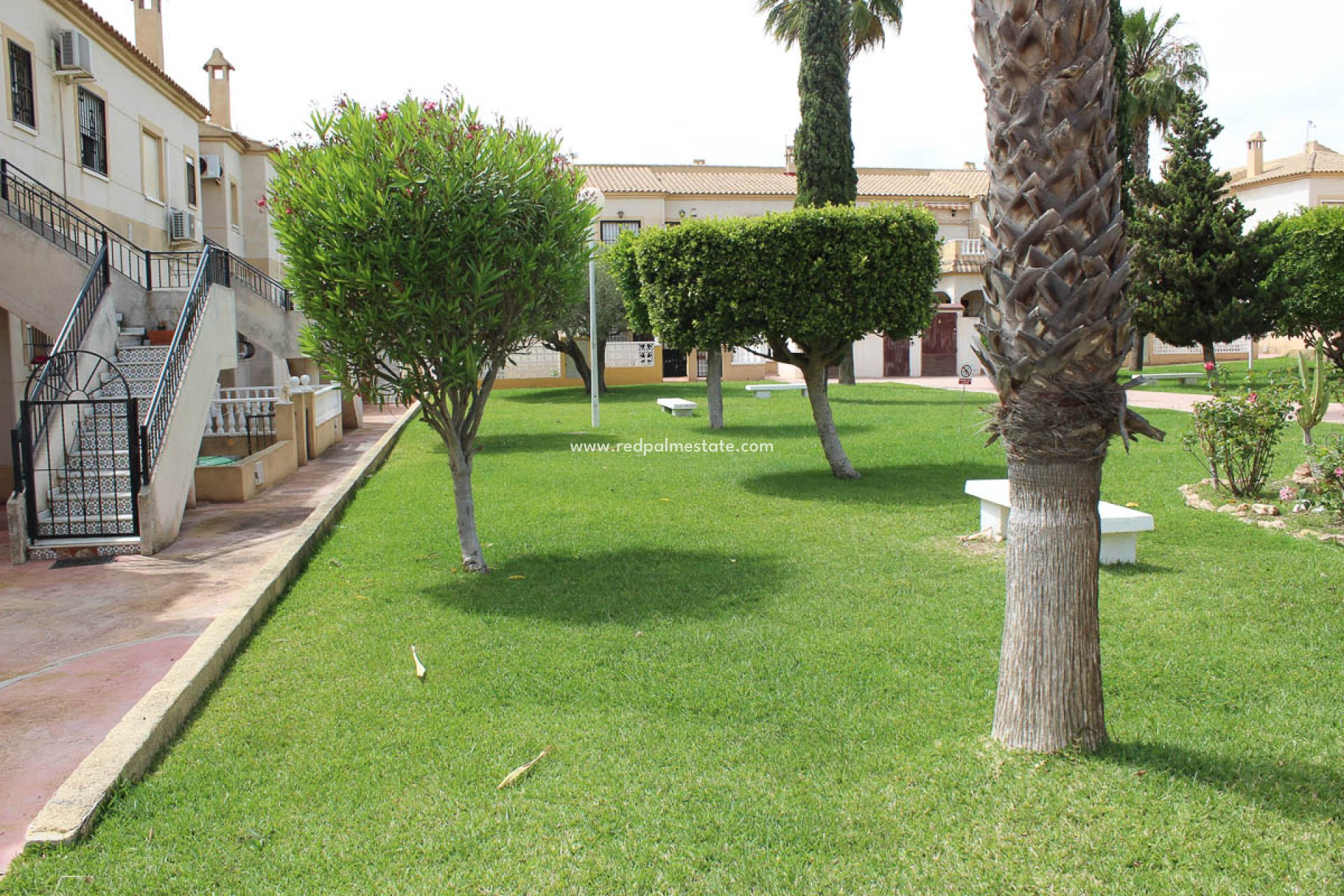 Reventa - Departamento -
Torrevieja