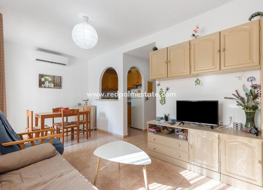 Reventa - Departamento -
Torrevieja