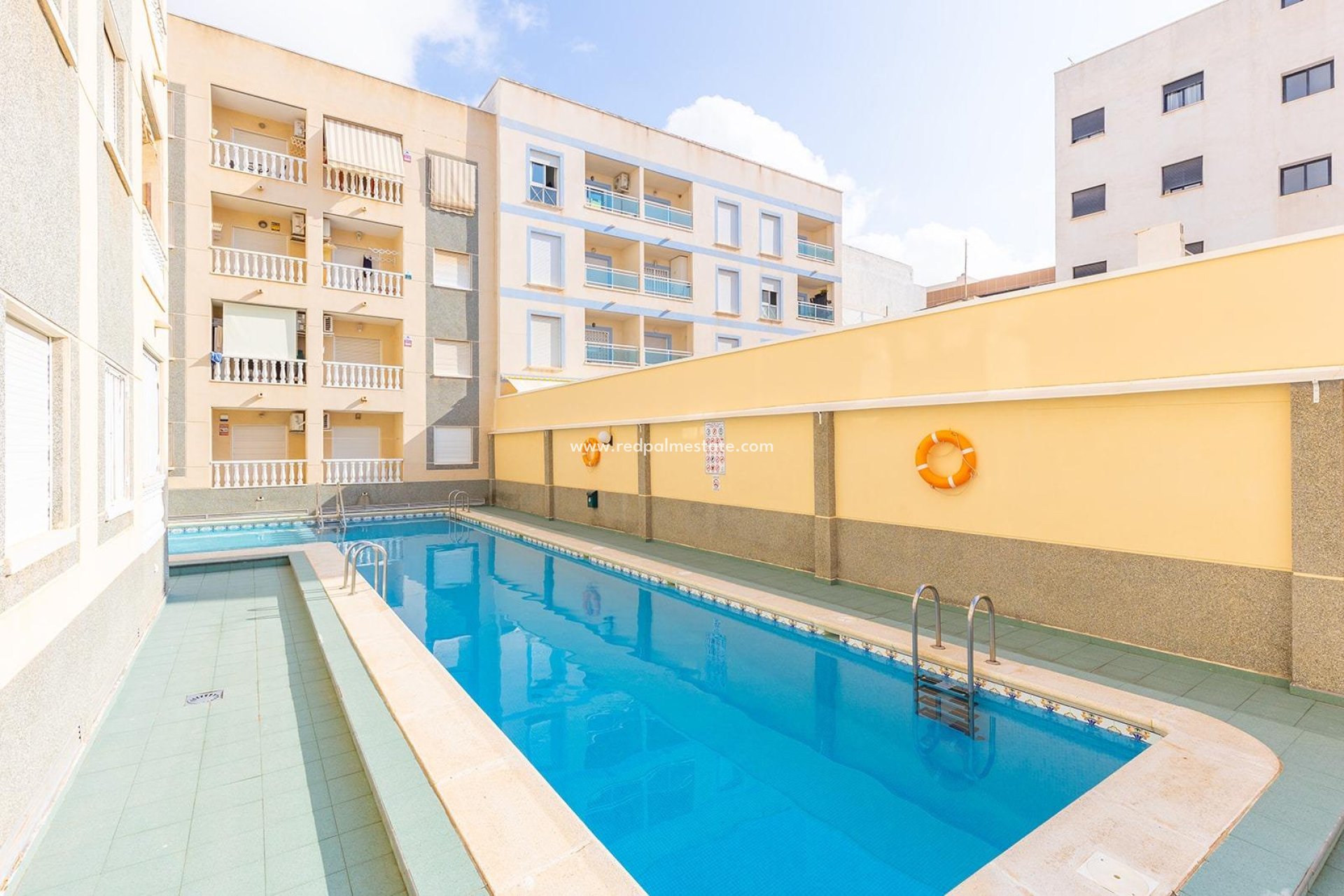 Reventa - Departamento -
Torrevieja