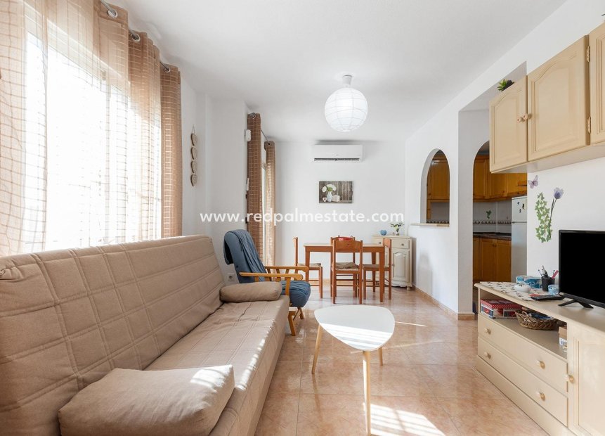 Reventa - Departamento -
Torrevieja