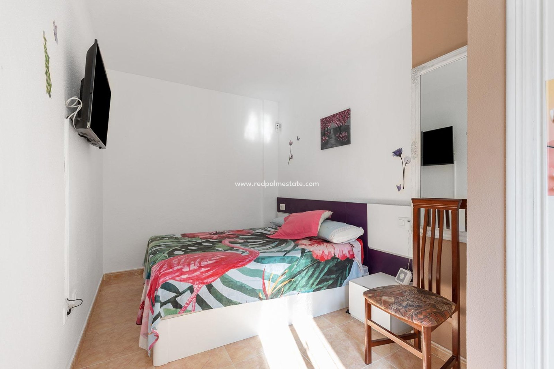 Reventa - Departamento -
Torrevieja