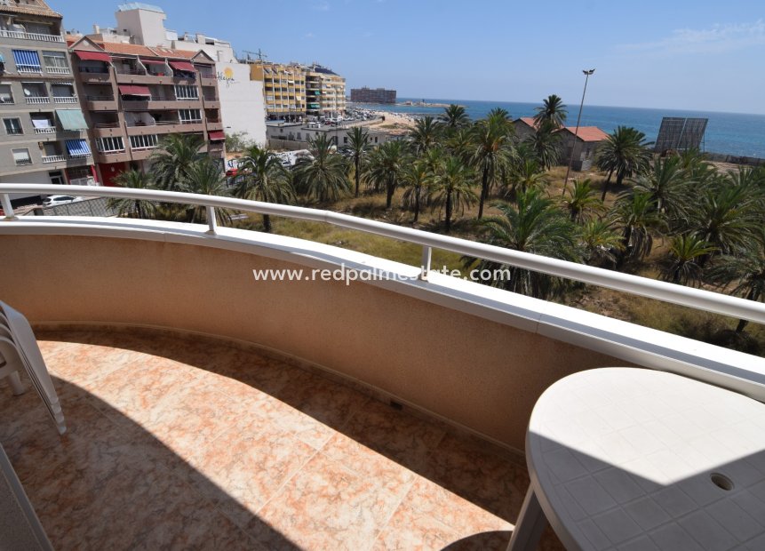 Reventa - Departamento -
Torrevieja