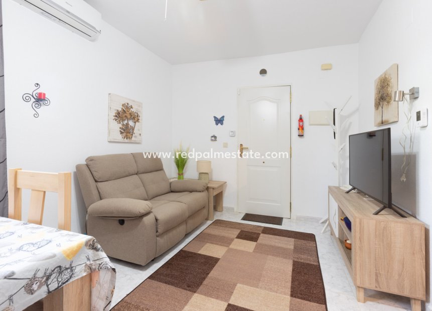 Reventa - Departamento -
Torrevieja