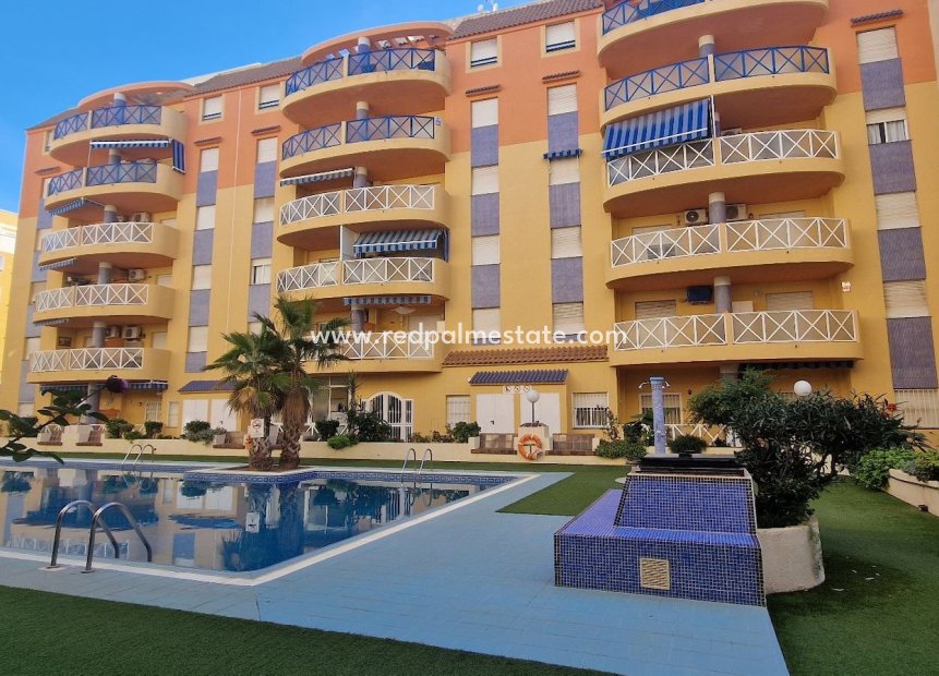 Reventa - Departamento -
Torrevieja