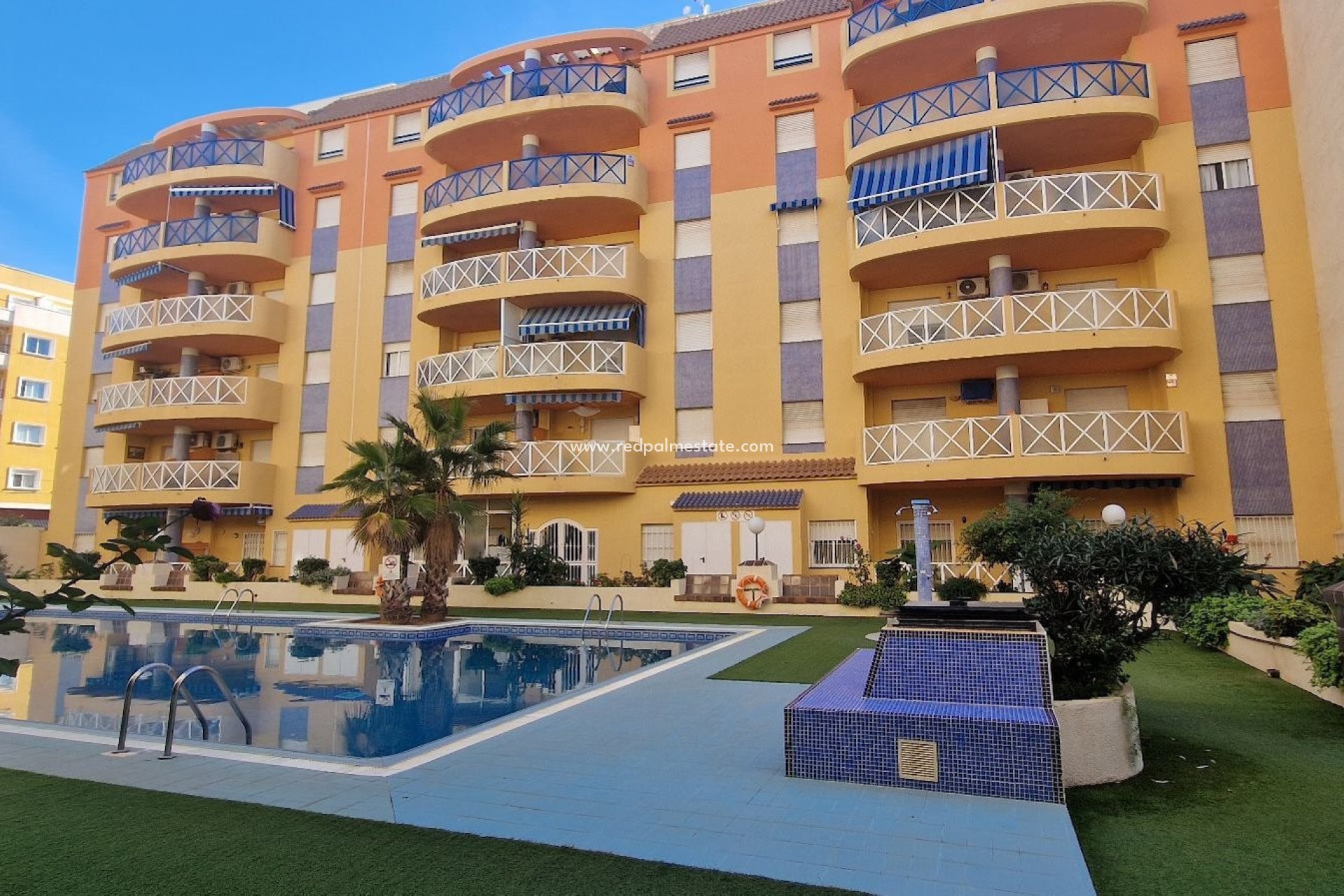 Reventa - Departamento -
Torrevieja