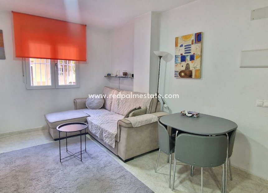 Reventa - Departamento -
Torrevieja