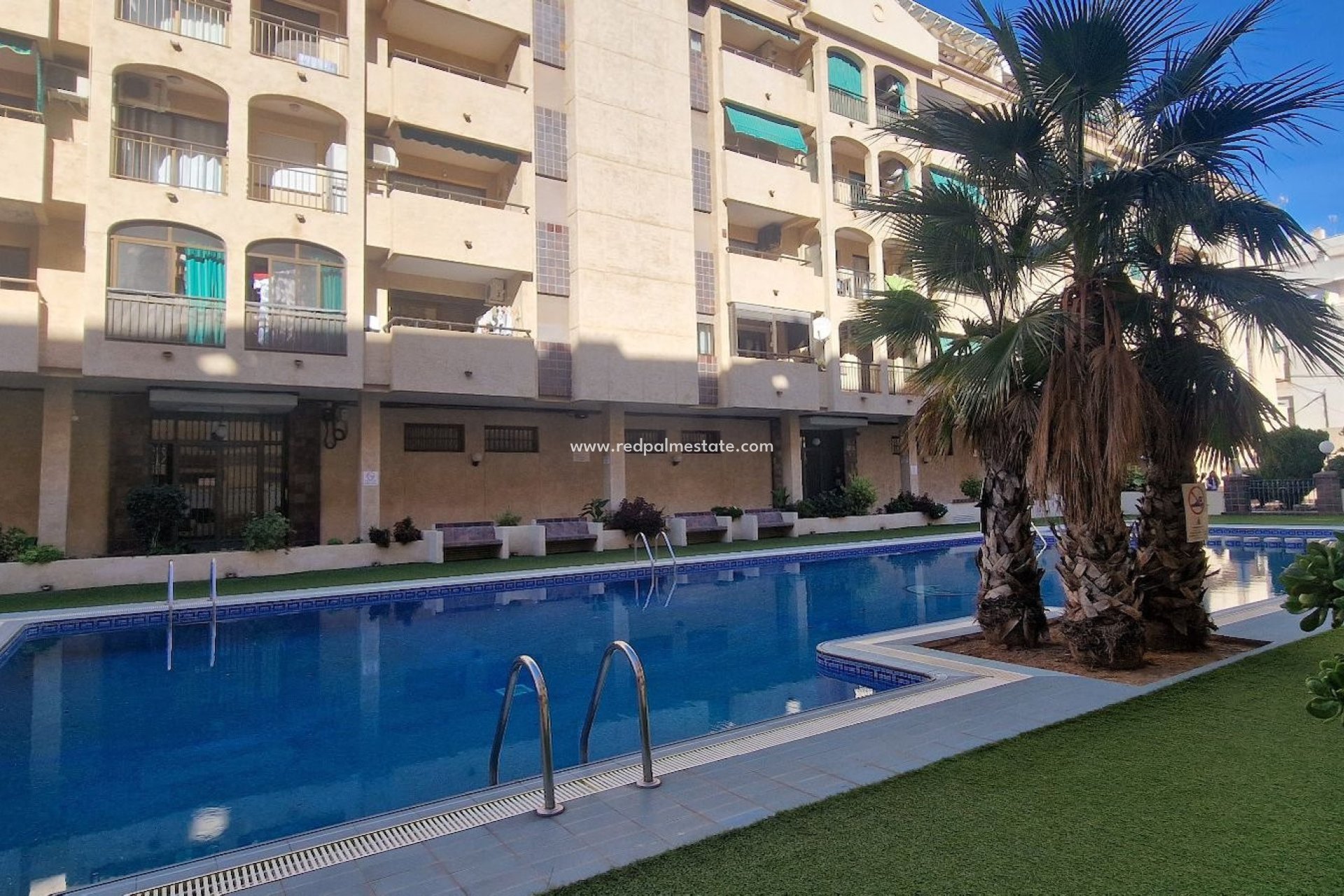 Reventa - Departamento -
Torrevieja