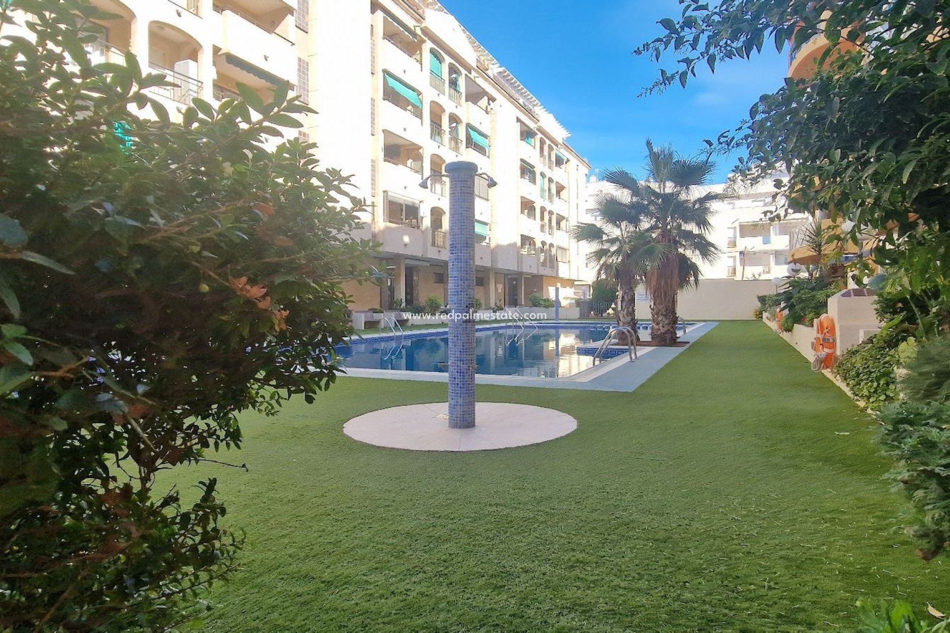 Reventa - Departamento -
Torrevieja