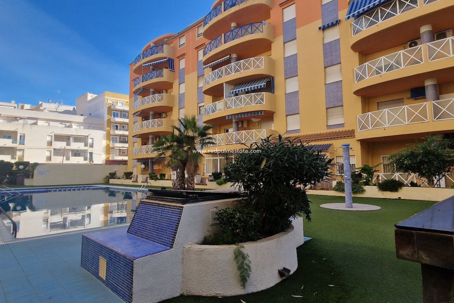 Reventa - Departamento -
Torrevieja