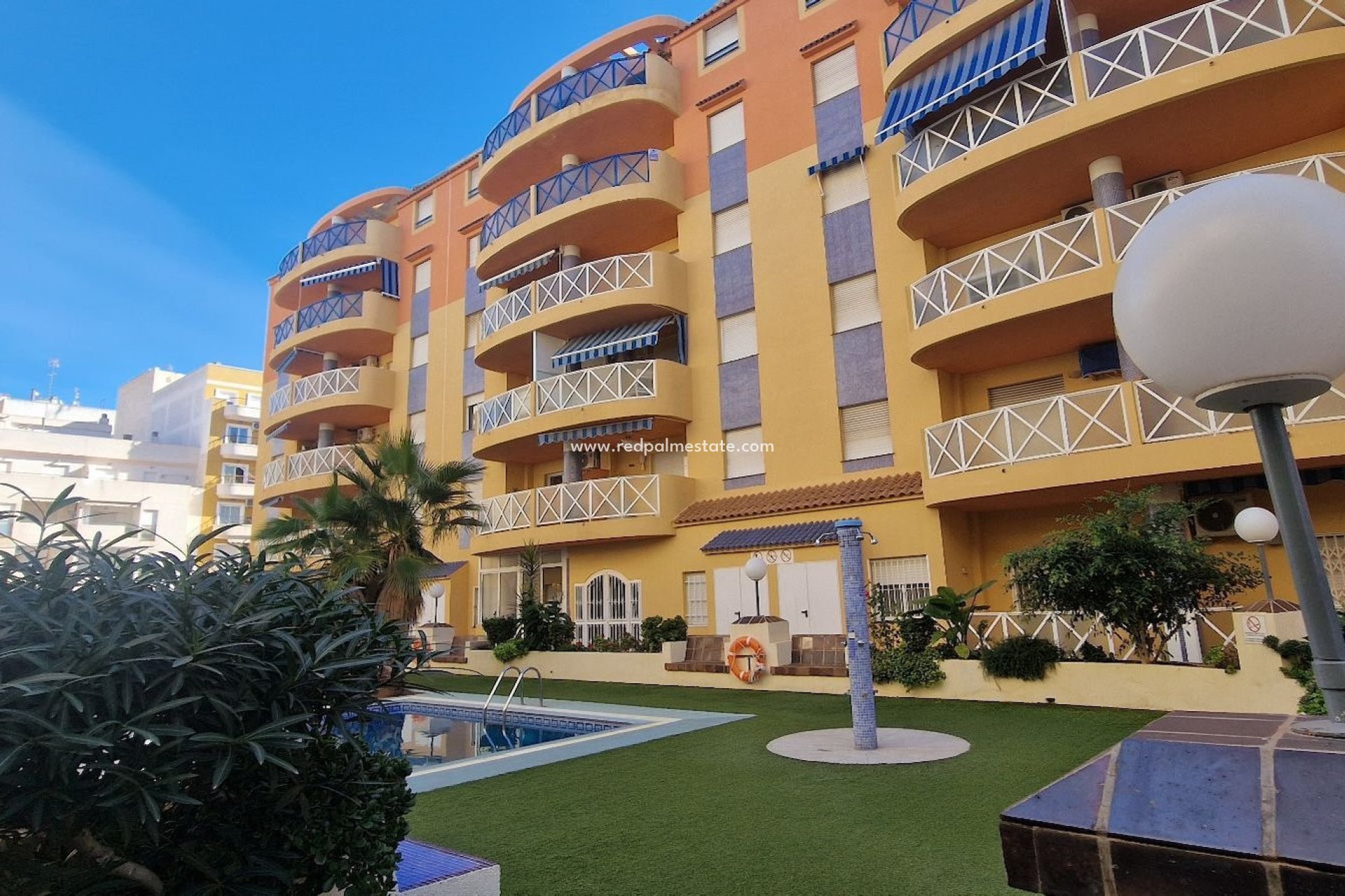 Reventa - Departamento -
Torrevieja