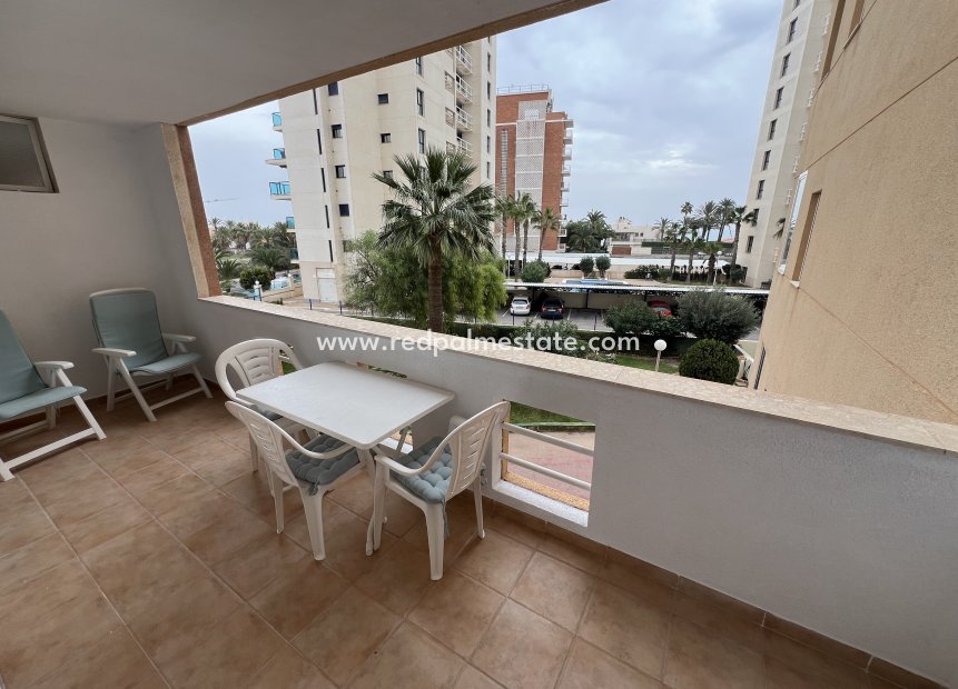 Reventa - Departamento -
Torrevieja