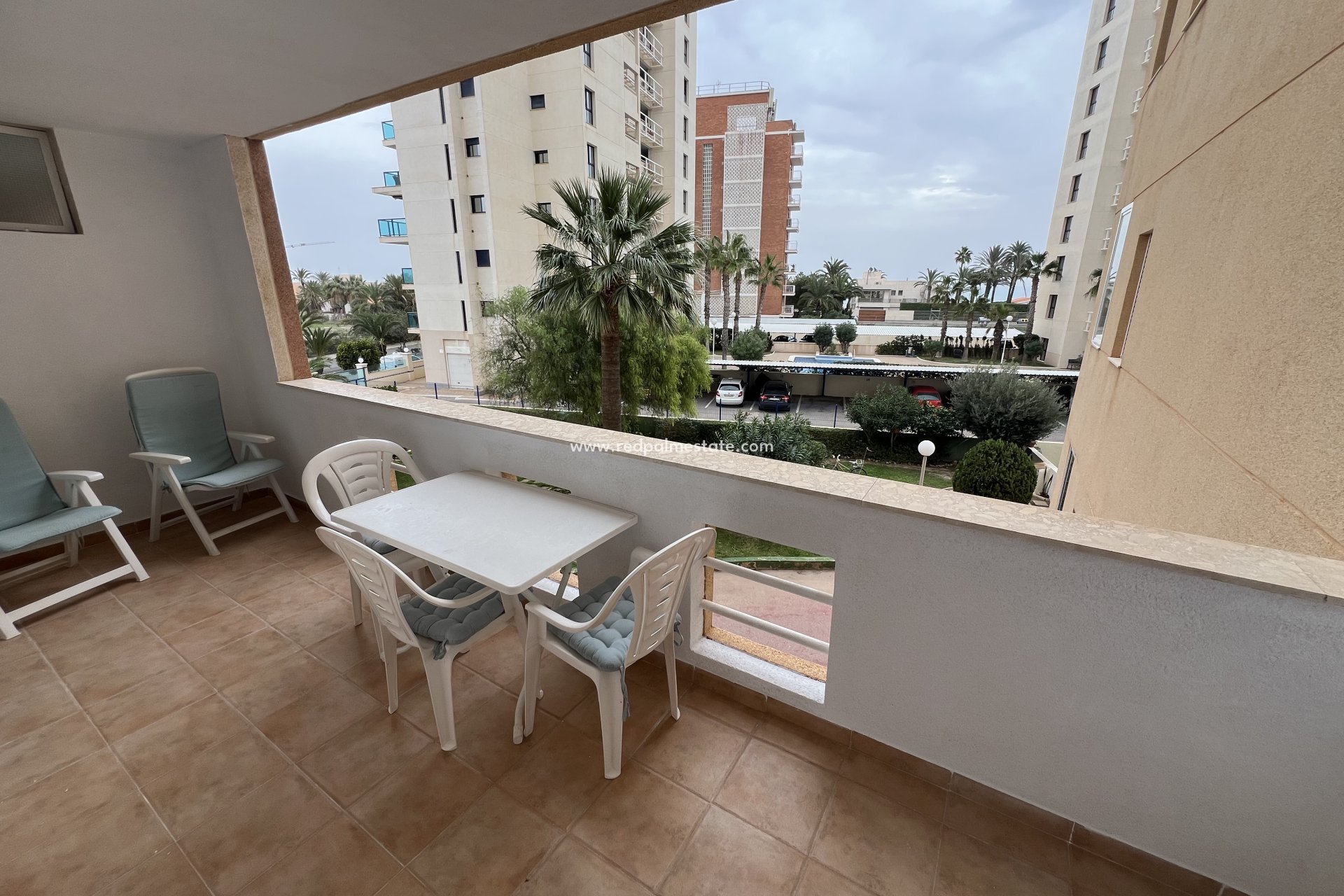 Reventa - Departamento -
Torrevieja