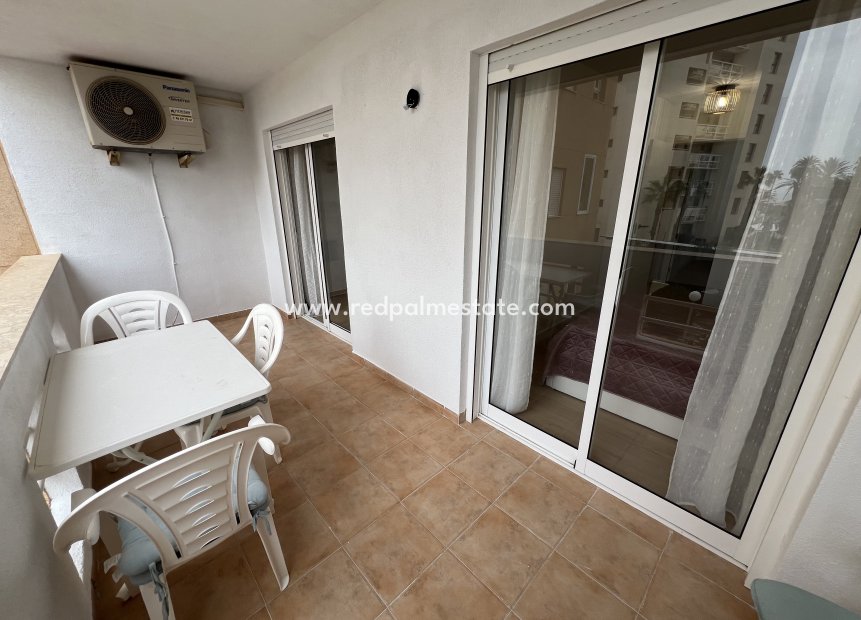 Reventa - Departamento -
Torrevieja