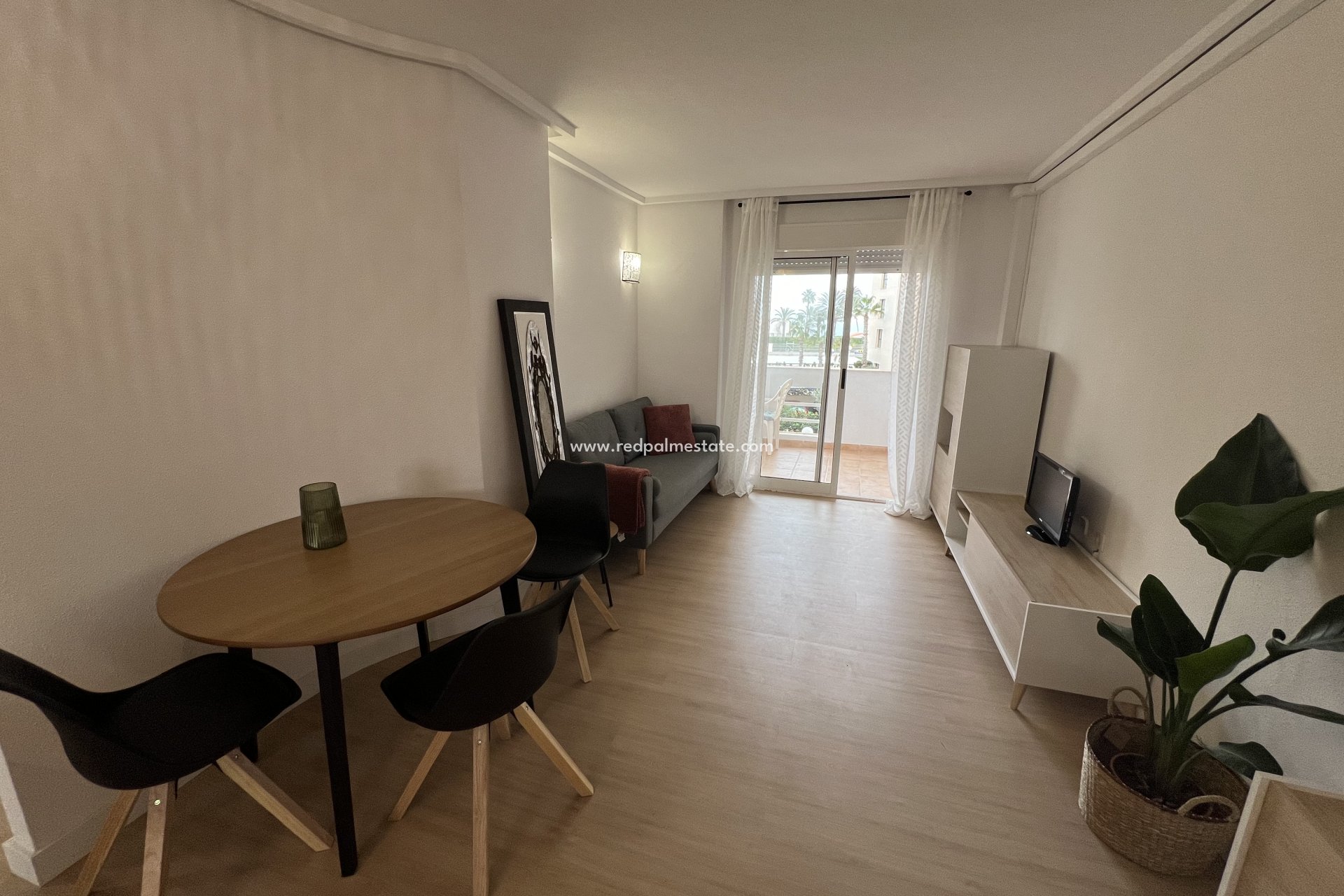 Reventa - Departamento -
Torrevieja