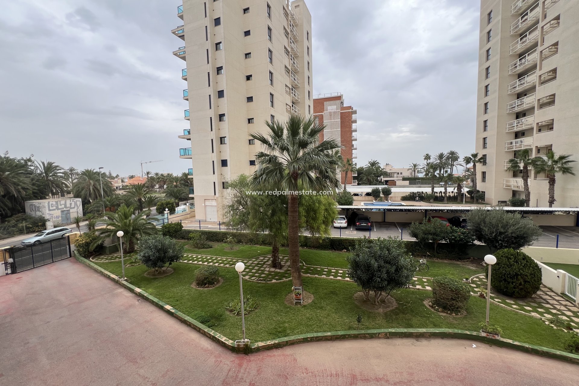 Reventa - Departamento -
Torrevieja