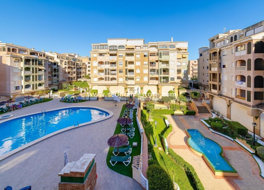 Reventa - Departamento -
Torrevieja