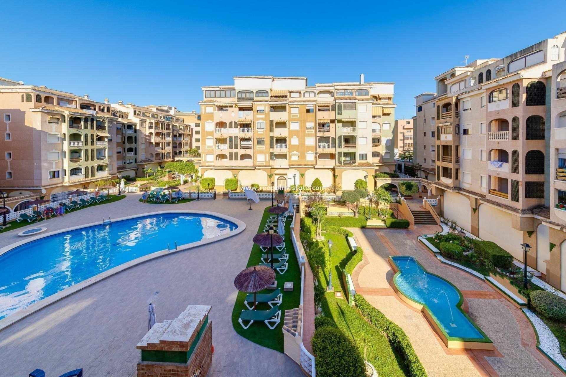 Reventa - Departamento -
Torrevieja