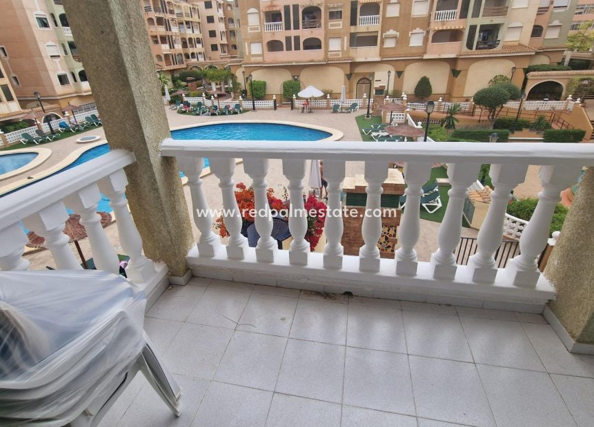 Reventa - Departamento -
Torrevieja