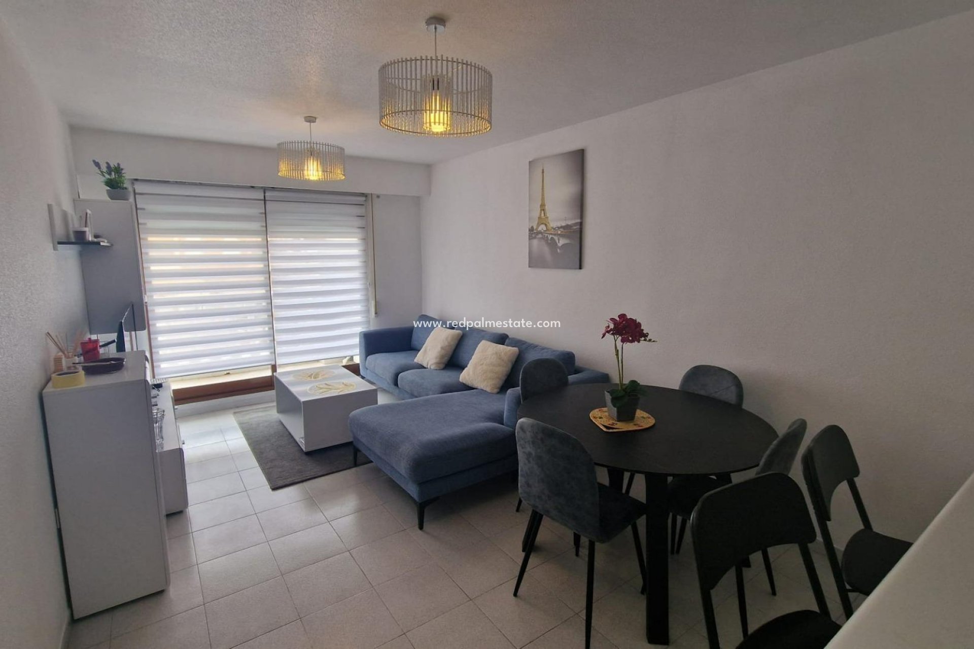 Reventa - Departamento -
Torrevieja