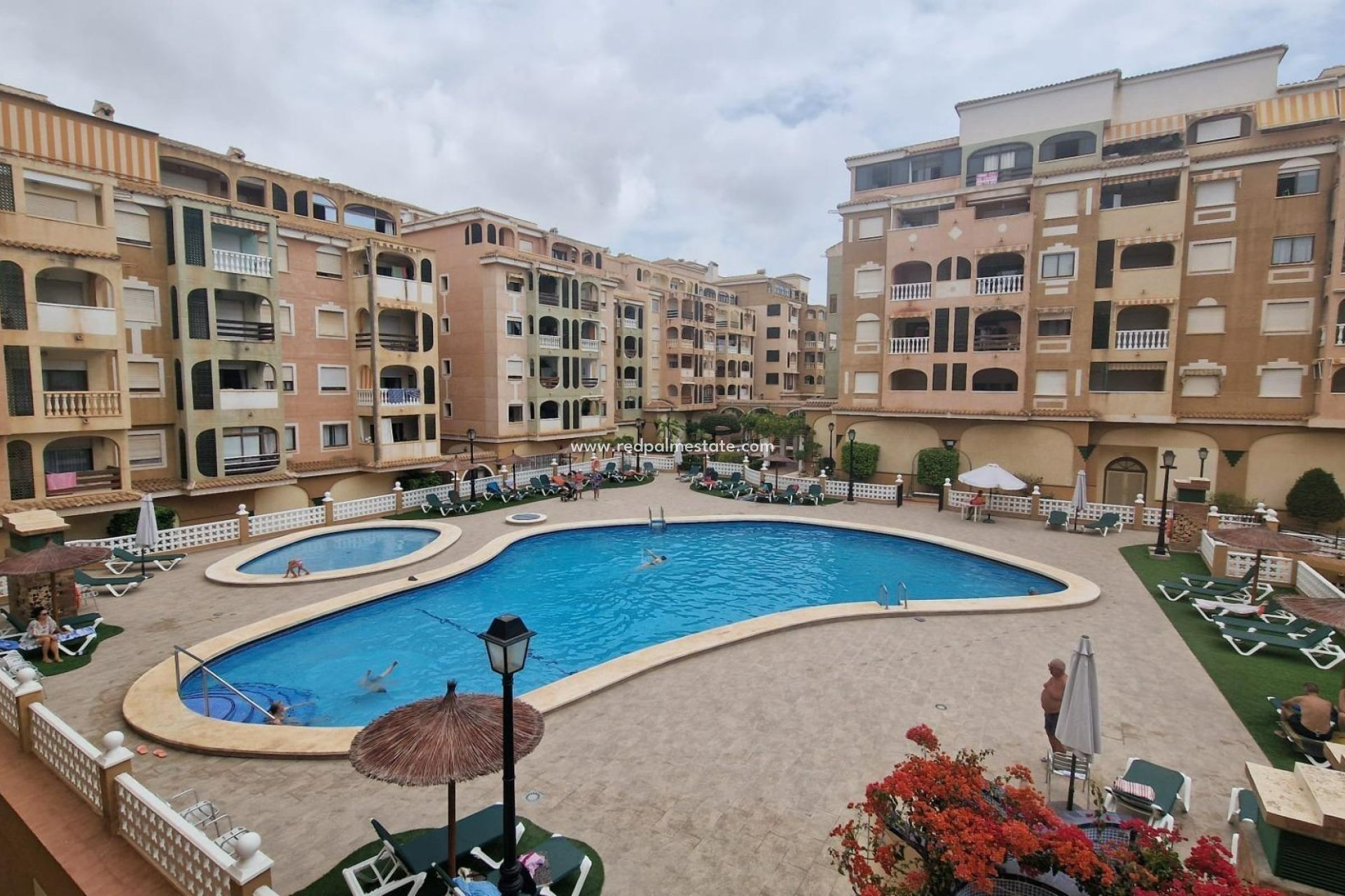 Reventa - Departamento -
Torrevieja