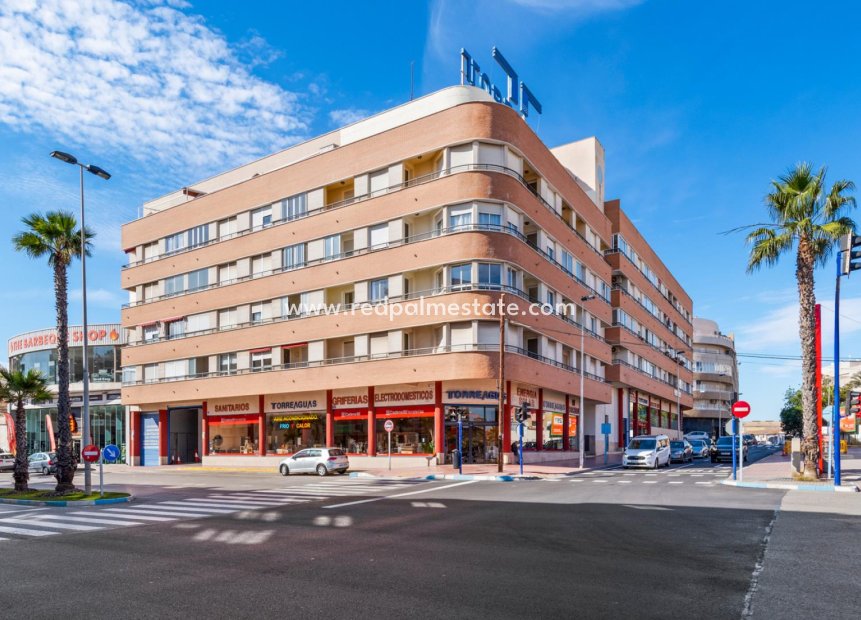 Reventa - Departamento -
Torrevieja