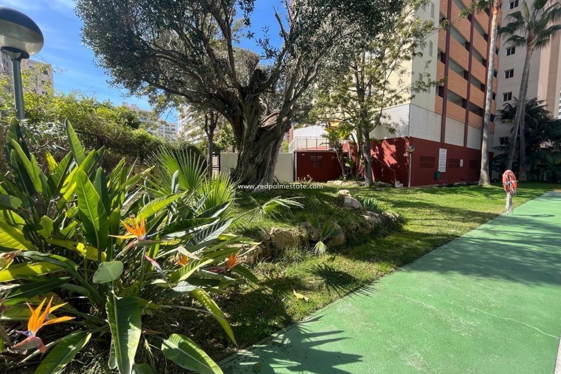 Reventa - Departamento -
Villajoyosa - Cala Villajoyosa