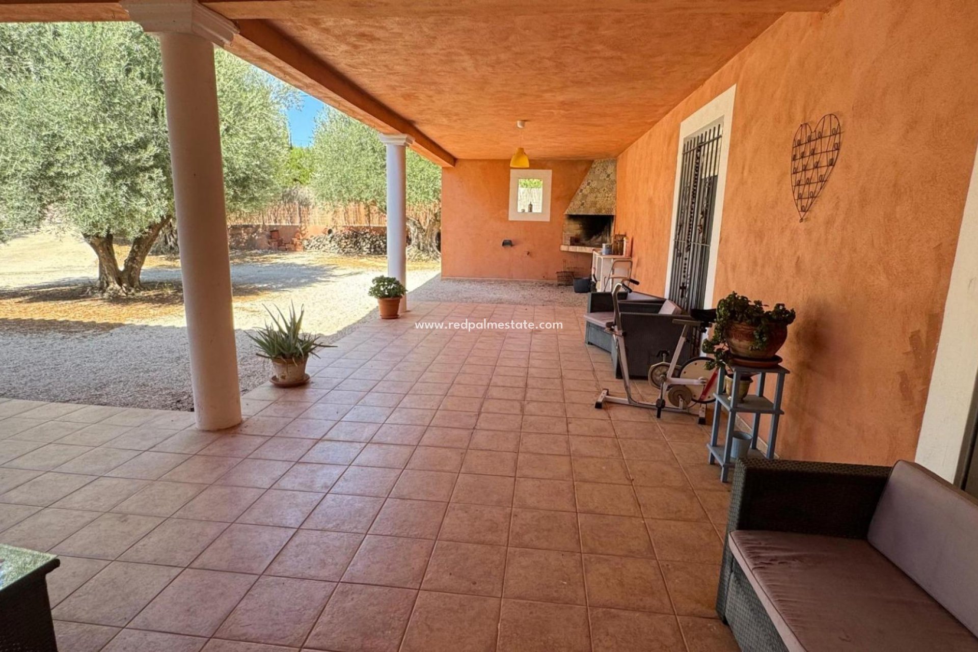 Reventa - Finca / Propiedad de Campo -
Albatera - BARRANCO SAN CAYETANO