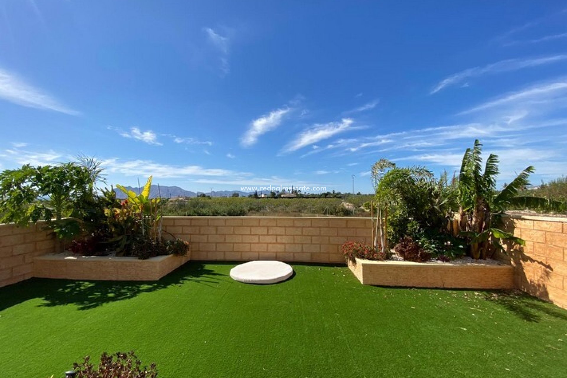 Reventa - Finca / Propiedad de Campo -
Albatera - Inland