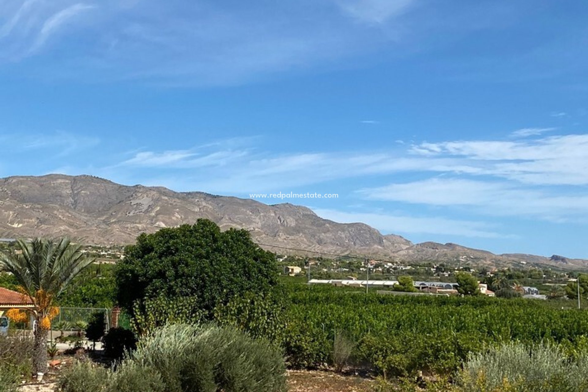 Reventa - Finca / Propiedad de Campo -
Albatera - Inland