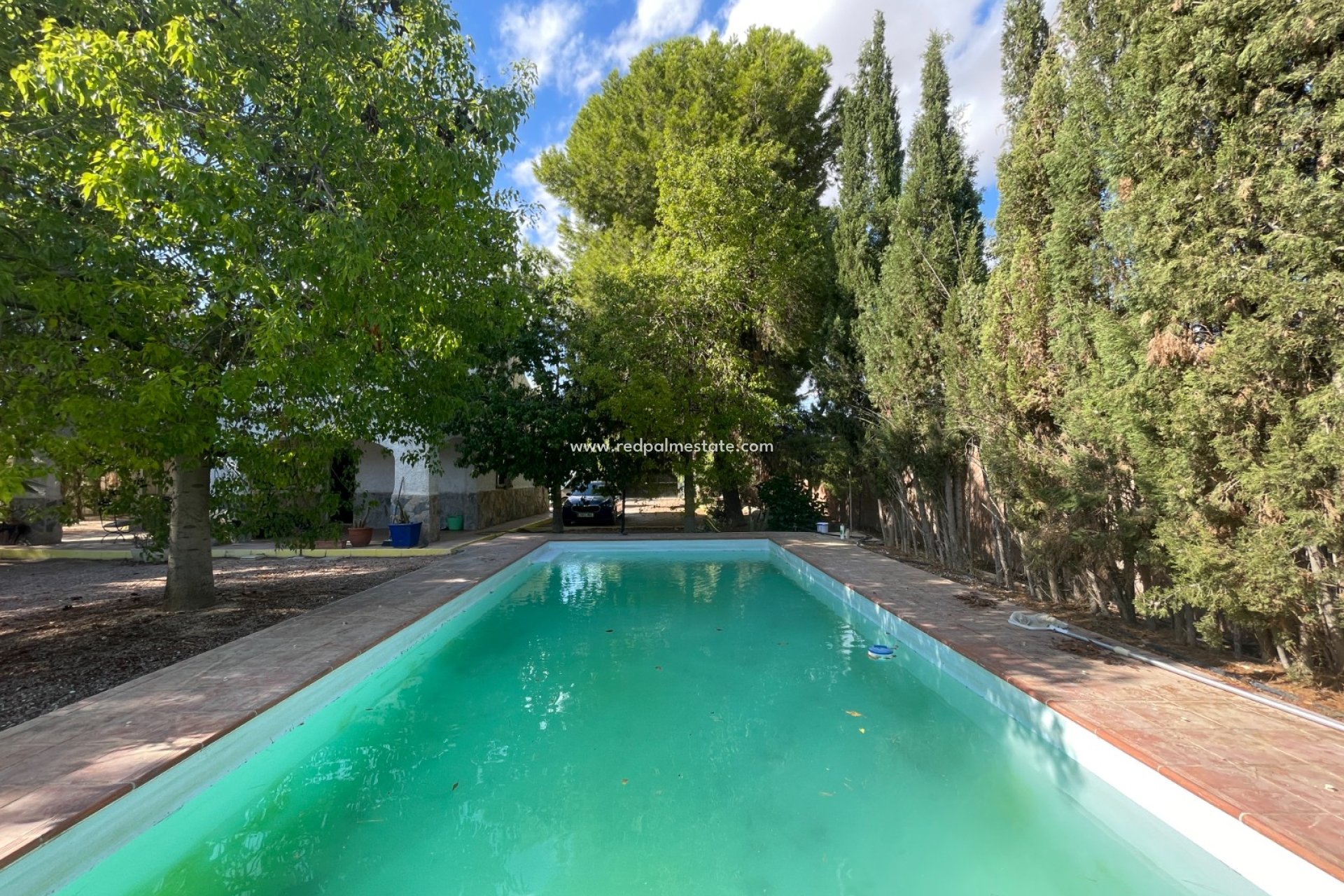 Reventa - Finca / Propiedad de Campo -
Albatera - Inland