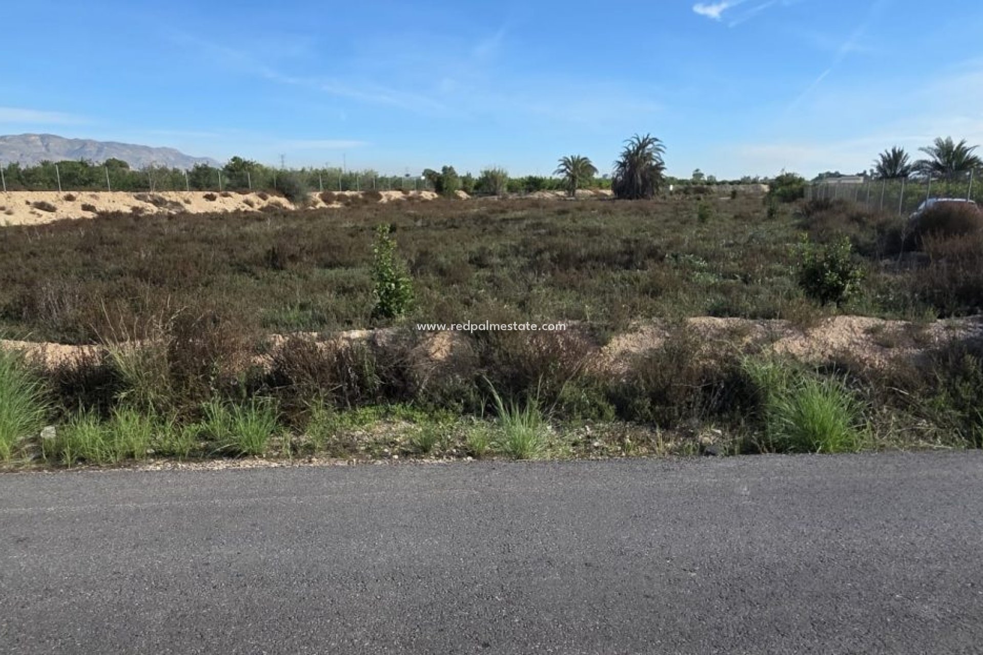 Reventa - Finca / Propiedad de Campo -
Albatera - Inland