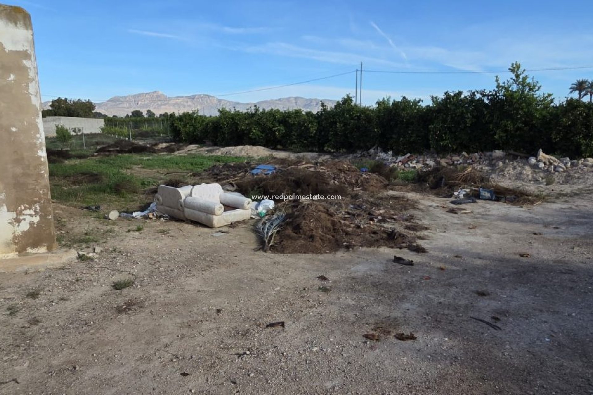 Reventa - Finca / Propiedad de Campo -
Albatera - Inland