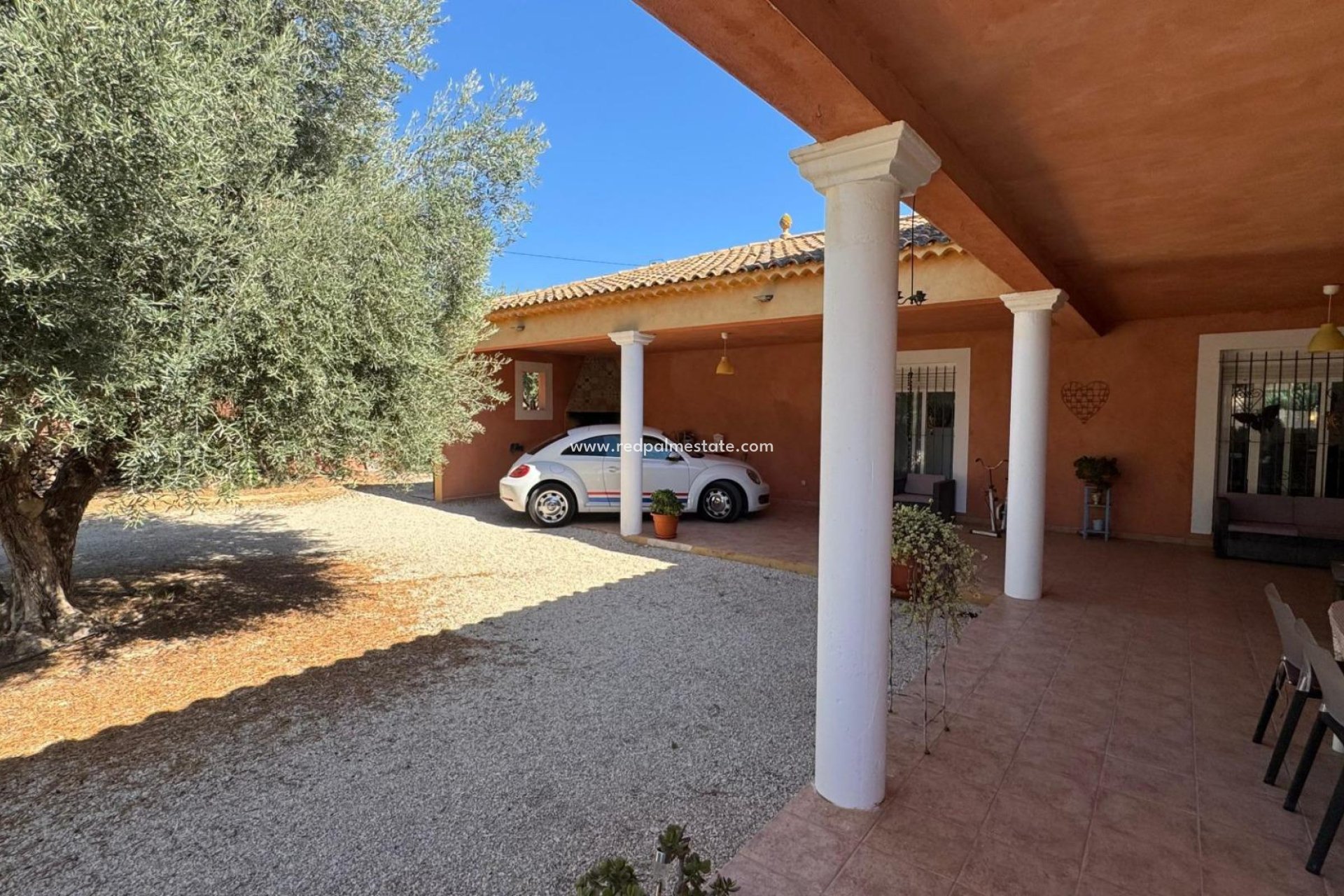 Reventa - Finca / Propiedad de Campo -
Albatera - Inland