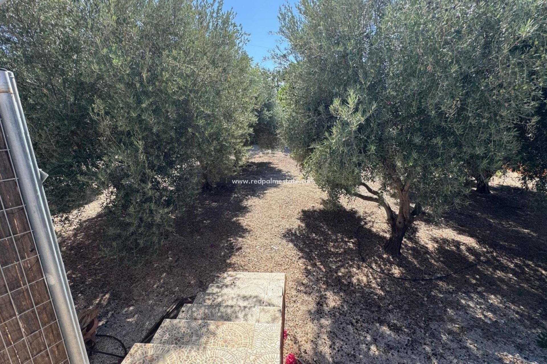 Reventa - Finca / Propiedad de Campo -
Albatera - Inland