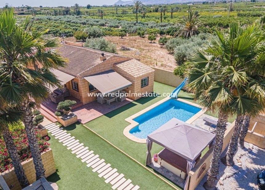 Reventa - Finca / Propiedad de Campo -
Albatera - Pueblo 11