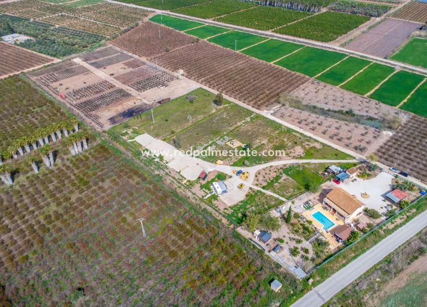 Reventa - Finca / Propiedad de Campo -
Albatera
