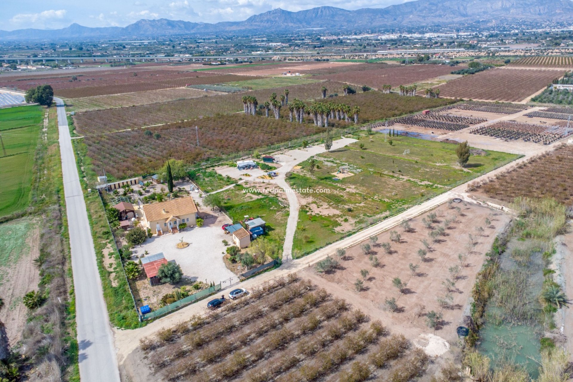 Reventa - Finca / Propiedad de Campo -
Albatera