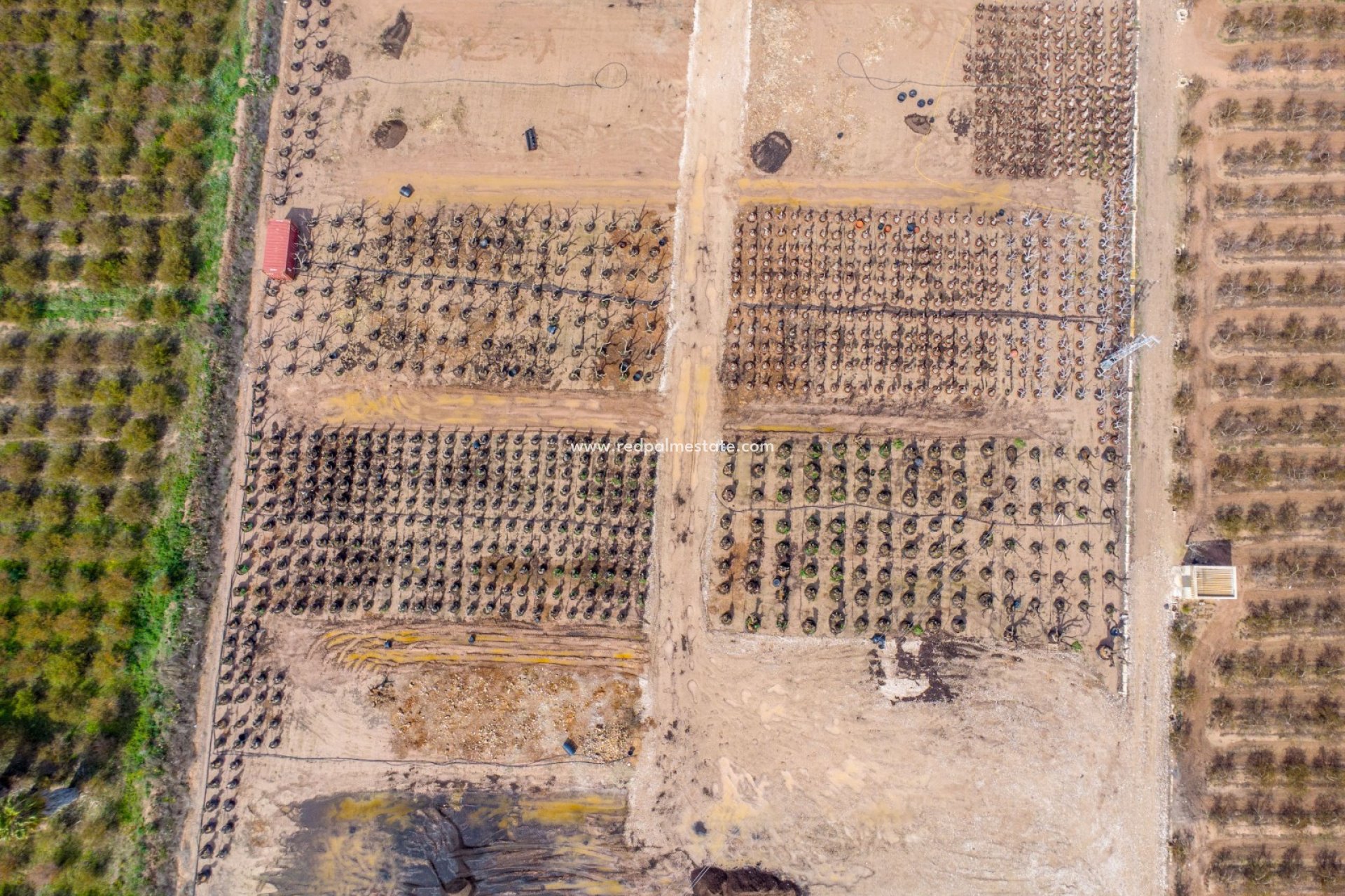 Reventa - Finca / Propiedad de Campo -
Albatera