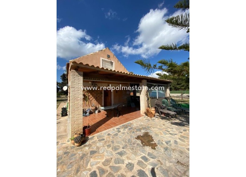 Reventa - Finca / Propiedad de Campo -
Algorfa - Afueras