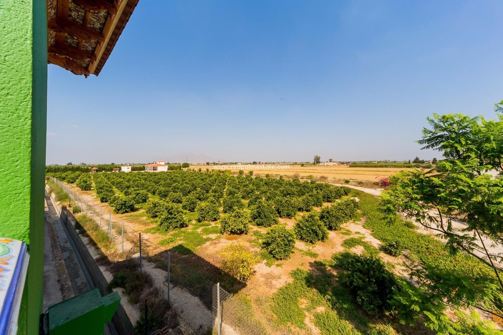 Reventa - Finca / Propiedad de Campo -
Almoradí - Inland